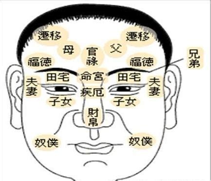 眼下陰德紋|佛教 什麼是陰德紋？陰騭紋長在什麼位置？